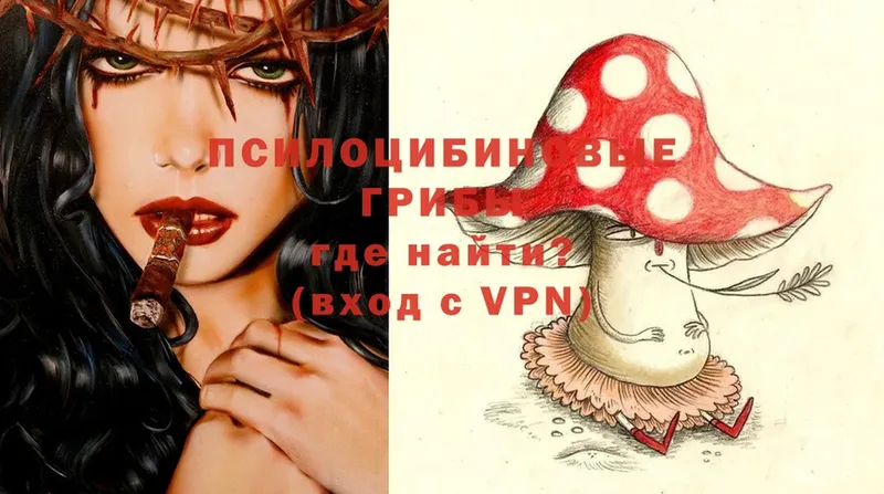 Галлюциногенные грибы Cubensis  наркотики  Балашов 